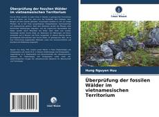 Überprüfung der fossilen Wälder im vietnamesischen Territorium kitap kapağı