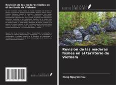 Bookcover of Revisión de las maderas fósiles en el territorio de Vietnam