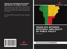 Copertina di TRADE-OFF BETWEEN EFFICIENCY AND EQUITY OF PUBLIC POLICY