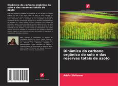Buchcover von Dinâmica do carbono orgânico do solo e das reservas totais de azoto
