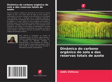 Dinâmica do carbono orgânico do solo e das reservas totais de azoto kitap kapağı