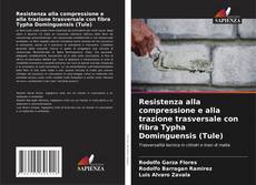 Resistenza alla compressione e alla trazione trasversale con fibra Typha Dominguensis (Tule) kitap kapağı