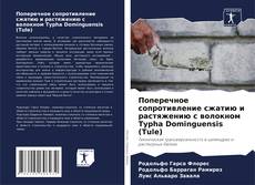 Portada del libro de Поперечное сопротивление сжатию и растяжению с волокном Typha Dominguensis (Tule)