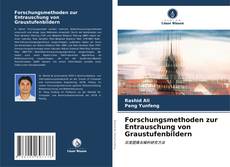 Buchcover von Forschungsmethoden zur Entrauschung von Graustufenbildern