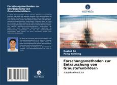 Portada del libro de Forschungsmethoden zur Entrauschung von Graustufenbildern