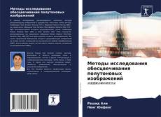Borítókép a  Методы исследования обесцвечивания полутоновых изображений - hoz