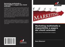 Bookcover of Marketing multistadio e disponibilità a pagare dei clienti aziendali