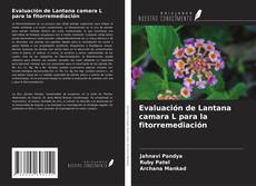 Buchcover von Evaluación de Lantana camara L para la fitorremediación