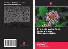 Avaliação da Lantana camara L para Phytoremediation kitap kapağı