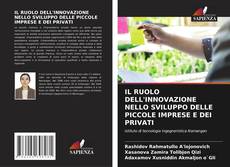 Обложка IL RUOLO DELL'INNOVAZIONE NELLO SVILUPPO DELLE PICCOLE IMPRESE E DEI PRIVATI