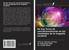 Portada del libro de No hay lluvia de neurotransmisores en los resultados de la tragedia cerebral