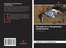 Copertina di Threats to a Threatened Conjuncture