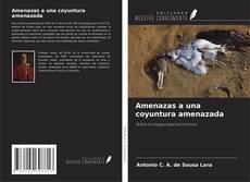 Bookcover of Amenazas a una coyuntura amenazada