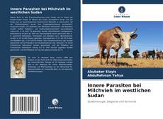 Bookcover of Innere Parasiten bei Milchvieh im westlichen Sudan