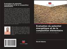 Bookcover of Évaluation du potentiel énergétique et de la composition élémentaire