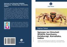 Capa do livro de Spinnen im Chincholi Wildlife Sanctuary, Kalaburagi, Karnataka, Indien 