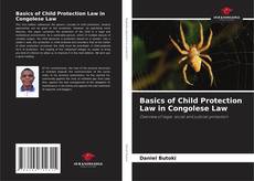 Bookcover of Basics of Child Protection Law in Congolese Law