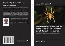 Copertina di Fundamentos de la ley de protección de la infancia en el derecho congoleño