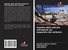 Buchcover von Impatto delle attività antropiche sul sequestro del carbonio
