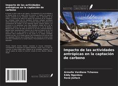 Bookcover of Impacto de las actividades antrópicas en la captación de carbono
