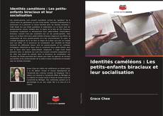 Capa do livro de Identités caméléons : Les petits-enfants biraciaux et leur socialisation 