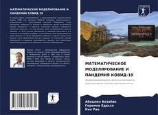 Copertina di МАТЕМАТИЧЕСКОЕ МОДЕЛИРОВАНИЕ И ПАНДЕМИЯ КОВИД-19