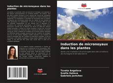 Buchcover von Induction de micronoyaux dans les plantes