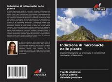 Induzione di micronuclei nelle piante kitap kapağı