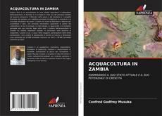 ACQUACOLTURA IN ZAMBIA kitap kapağı