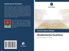 Bookcover of Akademische Exzellenz