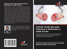 Bookcover of Calcoli renali del polo inferiore e litotrissia a onde d'urto