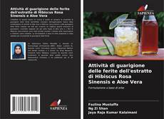 Bookcover of Attività di guarigione delle ferite dell'estratto di Hibiscus Rosa Sinensis e Aloe Vera