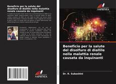 Bookcover of Beneficio per la salute del disolfuro di diallile nella malattia renale causata da inquinanti