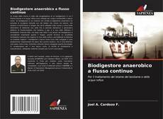 Bookcover of Biodigestore anaerobico a flusso continuo