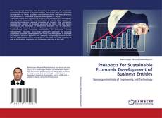 Buchcover von Prospects for Sustainable Economic Development of Business Entities
