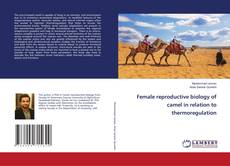 Copertina di Female reproductive biology of camel in relation to thermoregulation