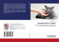 Buchcover von Toxoplasmosis in Egypt