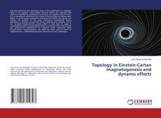 Copertina di Topology in Einstein-Cartan magnetogenesis and dynamo effects