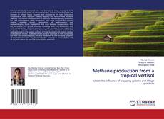 Copertina di Methane production from a tropical vertisol