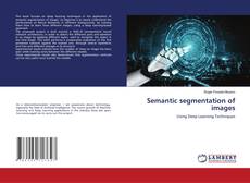 Buchcover von Semantic segmentation of images