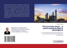 Buchcover von Получение медь - и цинксодержащего аммофоса