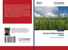 Buchcover von HAZAR KAĞANLIĞINDA TARIM
