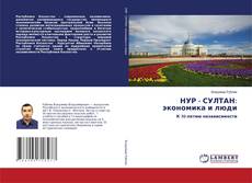 Bookcover of НУР - СУЛТАН: экономика и люди