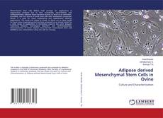Buchcover von Adipose derived Mesenchymal Stem Cells in Ovine