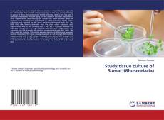 Buchcover von Study tissue culture of Sumac (Rhuscoriaria)