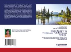 Copertina di Nitrite Toxicity in Freshwater Fish Cirrhinus mrigala