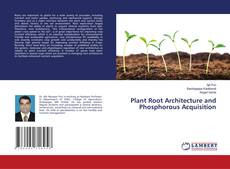 Buchcover von Plant Root Architecture and Phosphorous Acquisition