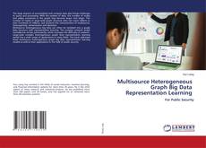 Buchcover von Multisource Heterogeneous Graph Big Data Representation Learning