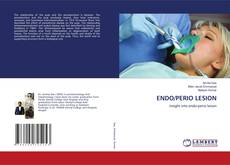 Buchcover von ENDO/PERIO LESION