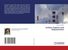 Buchcover von Carbon Capture and Sequestration
